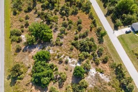 Land in Port Charlotte, Florida № 2161455 - photo 12