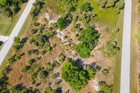 Land in Port Charlotte, Florida № 2161455 - photo 11