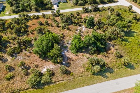 Land in Port Charlotte, Florida № 2161455 - photo 6