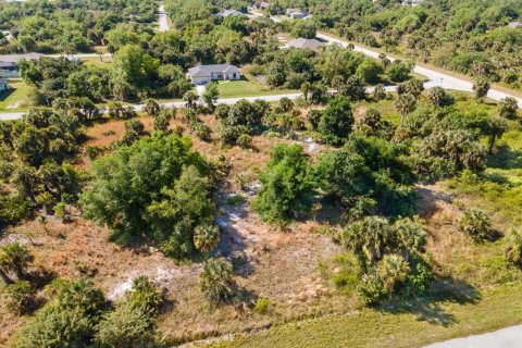 Land in Port Charlotte, Florida № 2161455 - photo 5