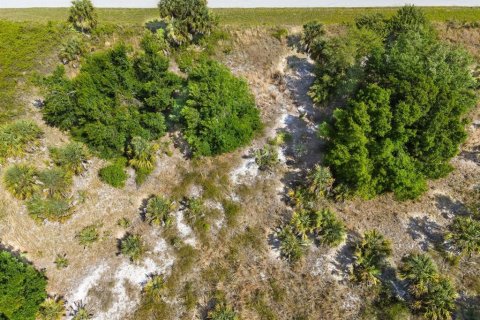 Land in Port Charlotte, Florida № 2161455 - photo 14