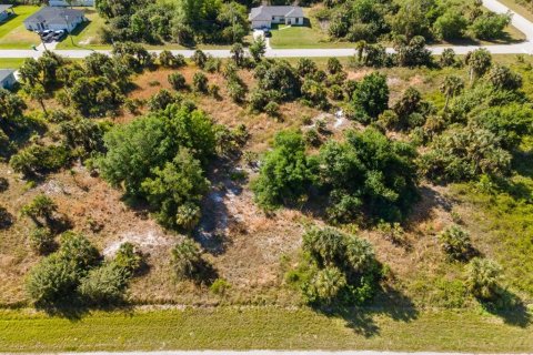 Land in Port Charlotte, Florida № 2161455 - photo 9
