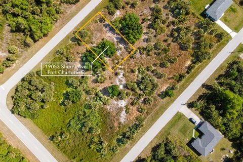 Land in Port Charlotte, Florida № 2161455 - photo 3