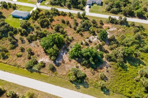 Land in Port Charlotte, Florida № 2161455 - photo 7