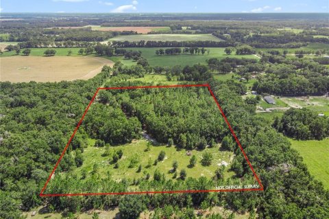 Casa en venta en Bell, Florida, 2 dormitorios, 210.24 m2 № 1914573 - foto 6