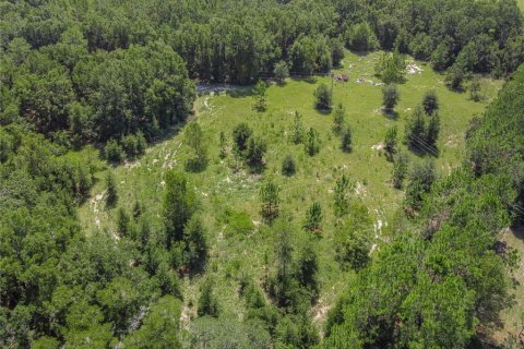 Casa en venta en Bell, Florida, 2 dormitorios, 210.24 m2 № 1914573 - foto 7