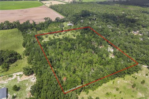 Casa en venta en Bell, Florida, 2 dormitorios, 210.24 m2 № 1914573 - foto 4