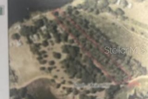 Land in Groveland, Florida № 216355 - photo 2