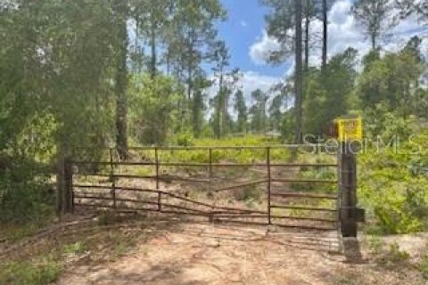 Land in Groveland, Florida № 216355 - photo 6