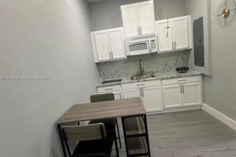 Appartement à louer à Homestead, Floride: 1 chambre № 1999546 - photo 10