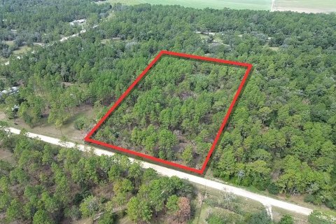 Land in Archer, Florida № 2333801