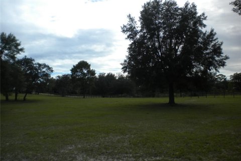 Terrain à vendre à Dunnellon, Floride № 2233867 - photo 8