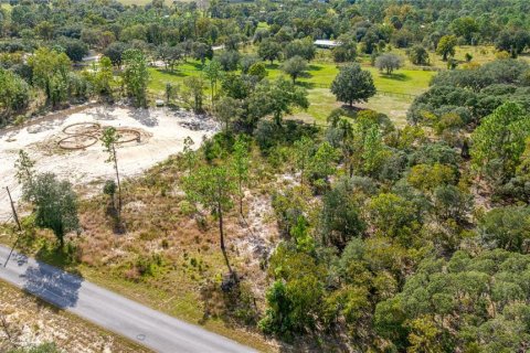 Terrain à vendre à Dunnellon, Floride № 2233867 - photo 2