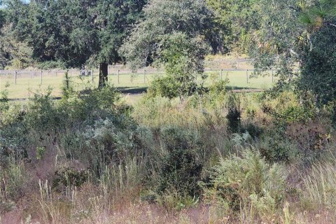 Terrain à vendre à Dunnellon, Floride № 2233867 - photo 6