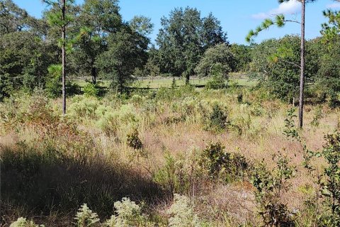 Terrain à vendre à Dunnellon, Floride № 2233867 - photo 5