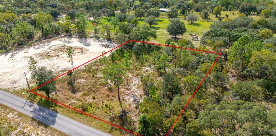 Terrain à Dunnellon, Floride № 2233867