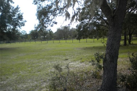 Terrain à vendre à Dunnellon, Floride № 2233867 - photo 7
