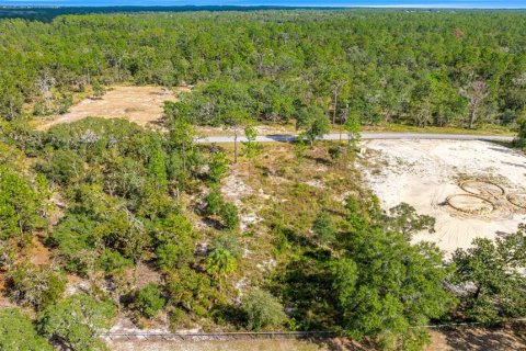 Terrain à vendre à Dunnellon, Floride № 2233867 - photo 20