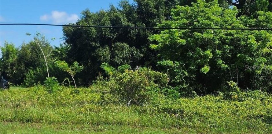 Land in Punta Gorda, Florida № 2231619
