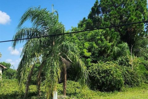 Land in Punta Gorda, Florida № 2231619 - photo 4