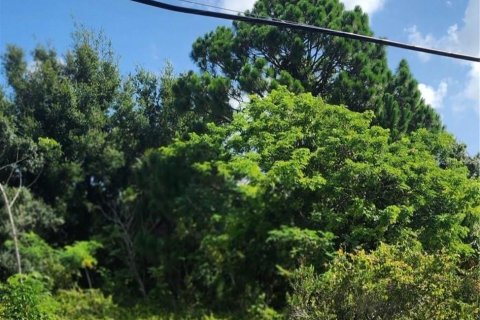 Land in Punta Gorda, Florida № 2231619 - photo 6