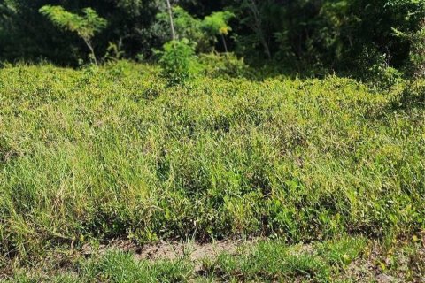 Land in Punta Gorda, Florida № 2231619 - photo 5