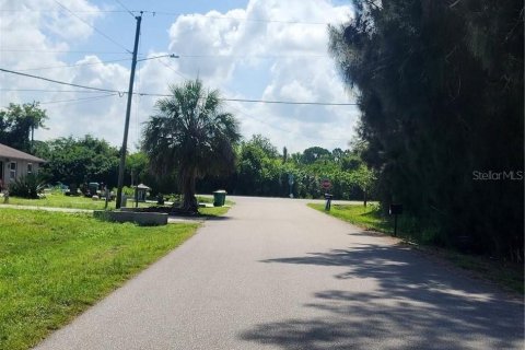 Land in Punta Gorda, Florida № 2231619 - photo 2