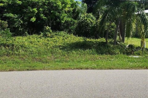 Land in Punta Gorda, Florida № 2231619 - photo 8