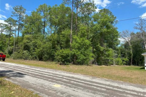 Land in Citrus Springs, Florida № 2223929 - photo 3