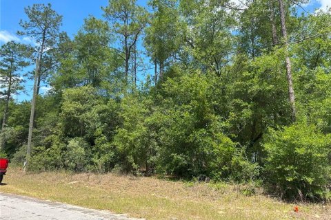 Land in Citrus Springs, Florida № 2223929