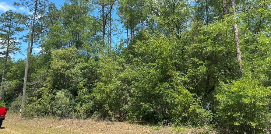 Land in Citrus Springs, Florida № 2223929