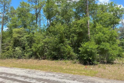 Land in Citrus Springs, Florida № 2223929 - photo 2