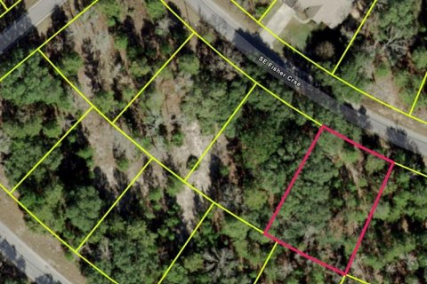 Land in Ocklawaha, Florida № 2159624 - photo 3