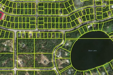 Land in Ocklawaha, Florida № 2159624 - photo 2