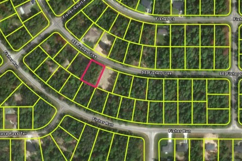 Land in Ocklawaha, Florida № 2159624