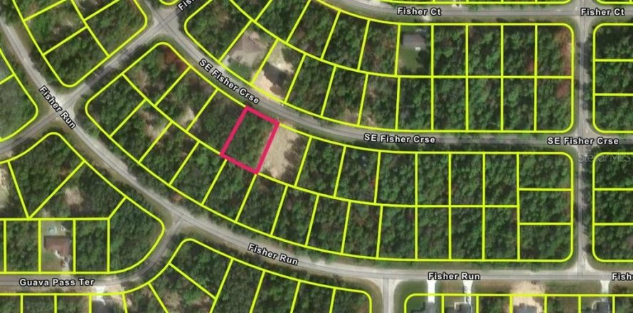 Land in Ocklawaha, Florida № 2159624