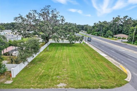 Купить земельный участок в Оксфорд, Флорида № 1900893 - фото 1