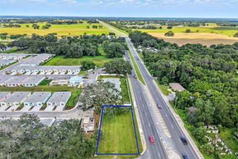 Купить земельный участок в Оксфорд, Флорида № 1900893 - фото 4