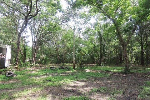 Terreno en venta en Sorrento, Florida № 1822404 - foto 5