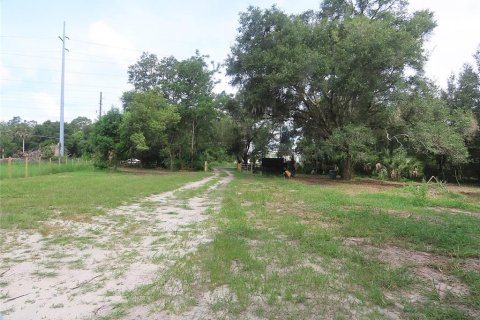Terreno en venta en Sorrento, Florida № 1822404 - foto 3