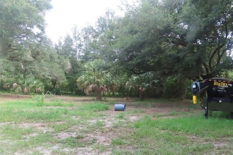 Terreno en venta en Sorrento, Florida № 1822404 - foto 7