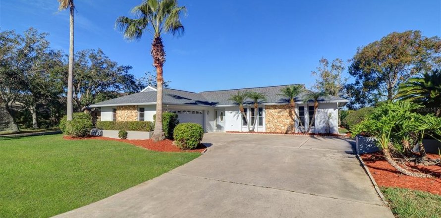 House in New Port Richey, Florida 3 bedrooms, 177.07 sq.m. № 1555315