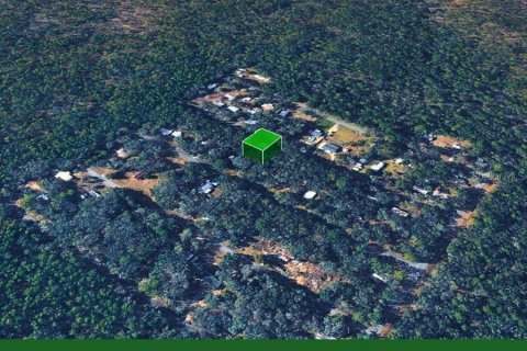 Land in Inverness, Florida № 2387512 - photo 15