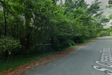 Land in Inverness, Florida № 2387512 - photo 17
