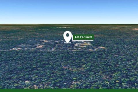 Land in Inverness, Florida № 2387512 - photo 8