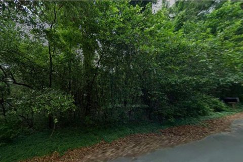 Land in Inverness, Florida № 2387512 - photo 3