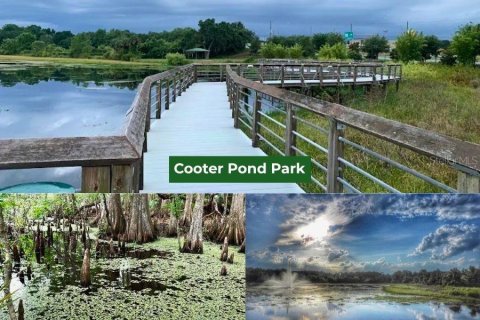 Land in Inverness, Florida № 2387512 - photo 6