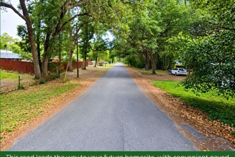 Land in Inverness, Florida № 2387512 - photo 2