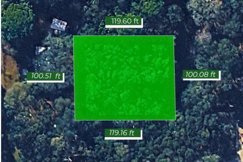 Land in Inverness, Florida № 2387512 - photo 4