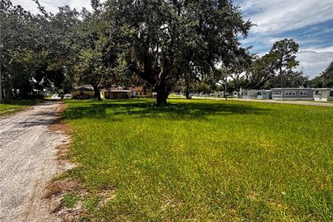 Terrain à vendre à Zephyrhills, Floride № 1831832 - photo 4